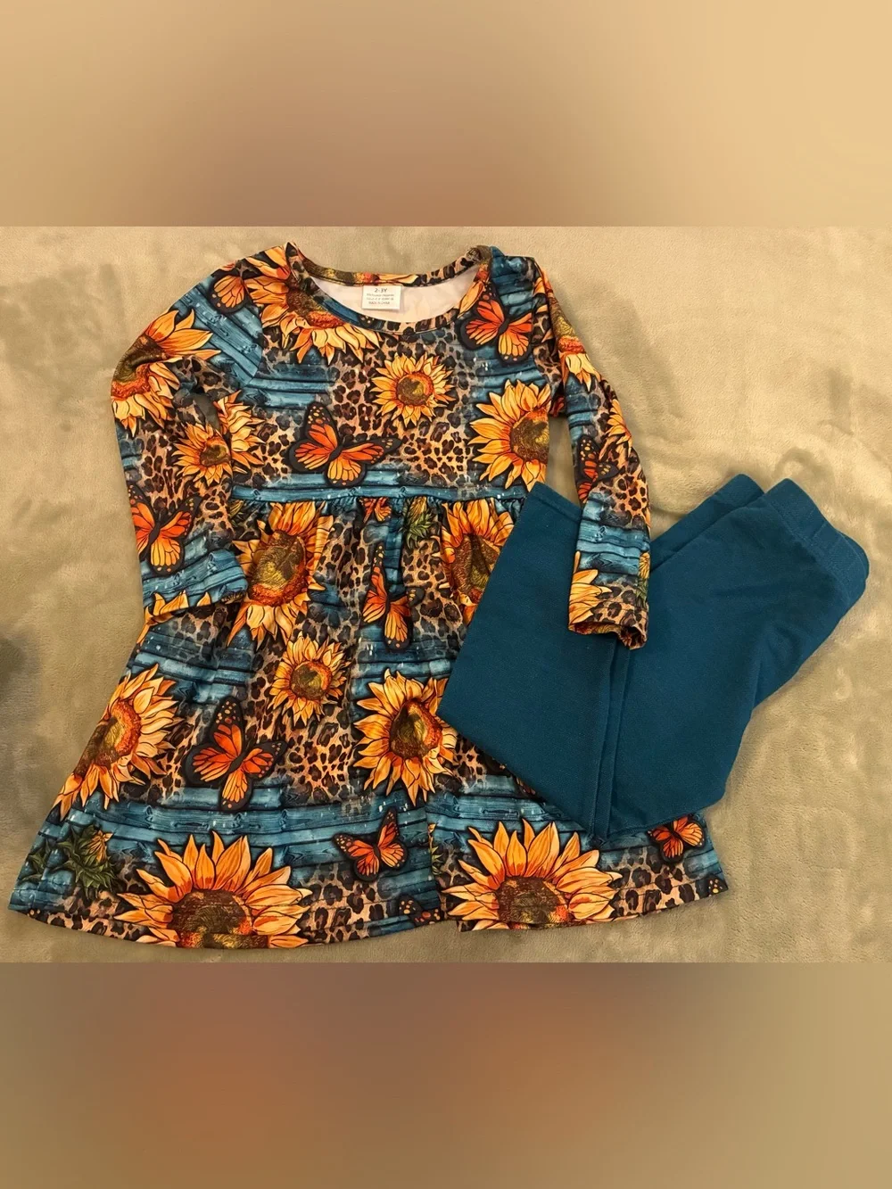 Girls Toddler Lot of 17 Pieces of Clothing Size 2T/3T